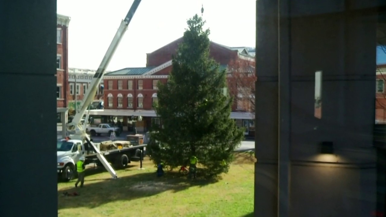 roanoke s official christmas tree cut delivered downtown christmas lights near me 2018 roanoke va